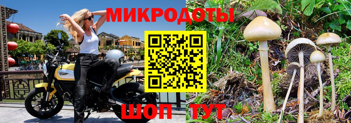 Заринск  Псилоцибиновые грибы MAGIC MUSHROOMS  Вход с VPN 